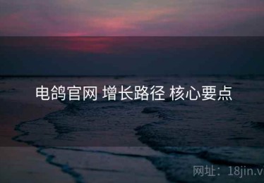 电鸽官网 增长路径 核心要点