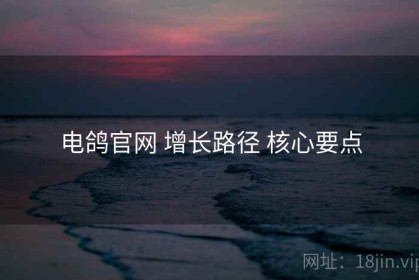 电鸽官网 增长路径 核心要点