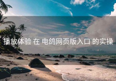 播放体验 在 电鸽网页版入口 的实操