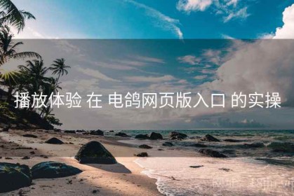 播放体验 在 电鸽网页版入口 的实操