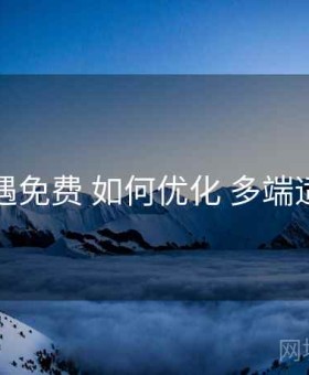 岛遇免费 如何优化 多端适配