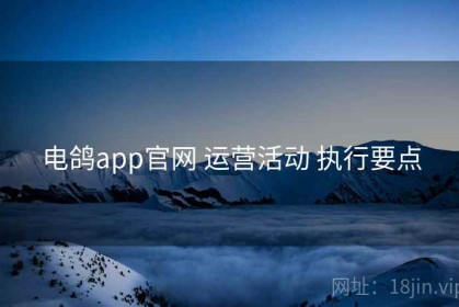 电鸽app官网 运营活动 执行要点