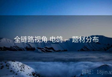 全链路视角 电鸽 — 题材分布