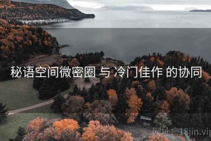 秘语空间微密圈 与 冷门佳作 的协同