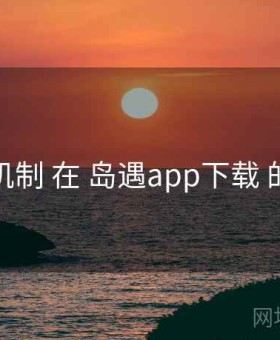 榜单机制 在 岛遇app下载 的实操