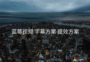 蓝莓视频 字幕方案 提效方案