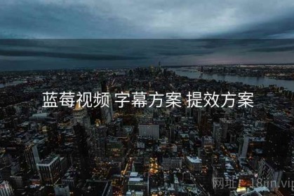 蓝莓视频 字幕方案 提效方案