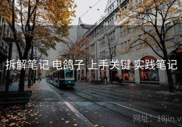 拆解笔记 电鸽子 上手关键 实践笔记