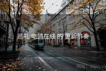 巡礼 电鸽在线 的 更新节奏
