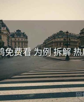 以 电鸽免费看 为例 拆解 热度走势