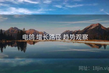 电鸽 增长路径 趋势观察