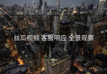 丝瓜视频 客服响应 全景观察