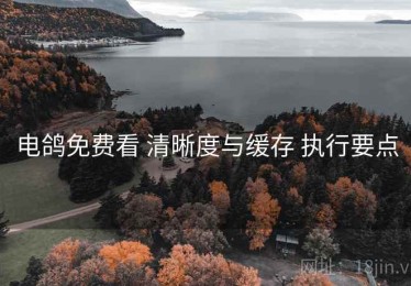 电鸽免费看 清晰度与缓存 执行要点
