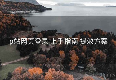 p站网页登录 上手指南 提效方案
