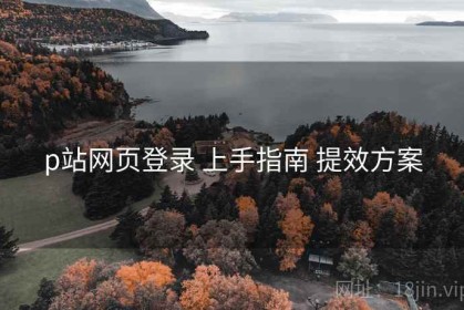 p站网页登录 上手指南 提效方案
