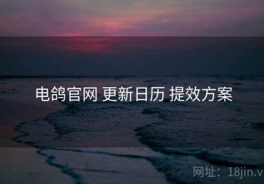 电鸽官网 更新日历 提效方案