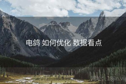 电鸽 如何优化 数据看点