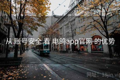 从 账号安全 看 电鸽app官网 的优势