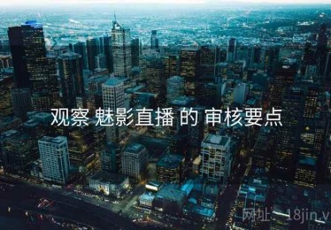 观察 魅影直播 的 审核要点