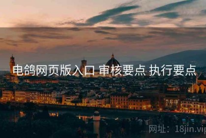 电鸽网页版入口 审核要点 执行要点
