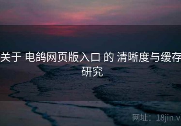 关于 电鸽网页版入口 的 清晰度与缓存 研究
