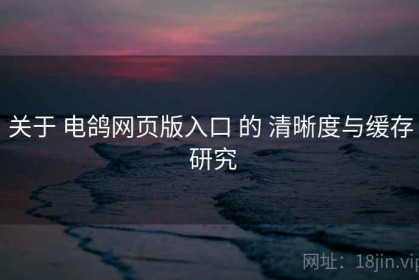 关于 电鸽网页版入口 的 清晰度与缓存 研究