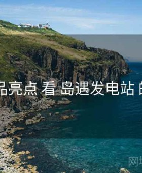 从 产品亮点 看 岛遇发电站 的优势