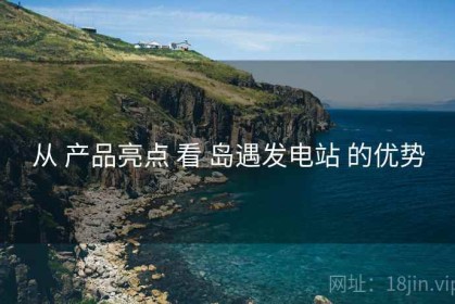 从 产品亮点 看 岛遇发电站 的优势
