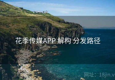 花季传媒APP 解构 分发路径