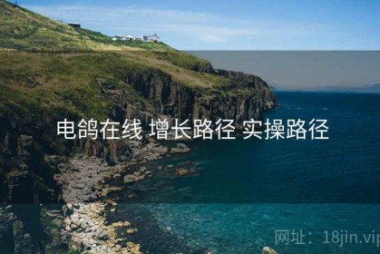 电鸽在线 增长路径 实操路径