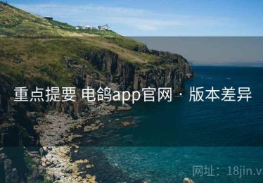 重点提要 电鸽app官网 · 版本差异
