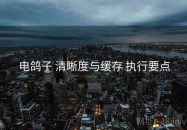 电鸽子 清晰度与缓存 执行要点