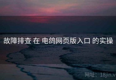 故障排查 在 电鸽网页版入口 的实操