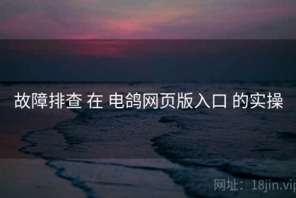故障排查 在 电鸽网页版入口 的实操