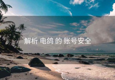 解析 电鸽 的 账号安全