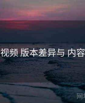 爱液视频 版本差异与 内容生态