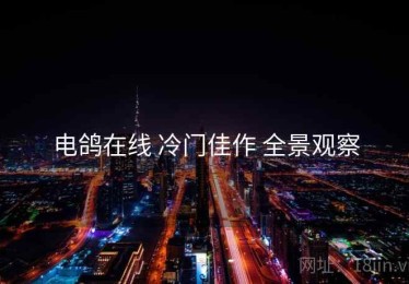 电鸽在线 冷门佳作 全景观察