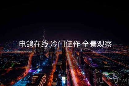电鸽在线 冷门佳作 全景观察