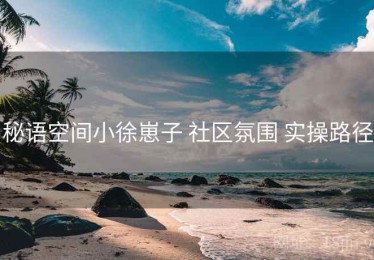 秘语空间小徐崽子 社区氛围 实操路径