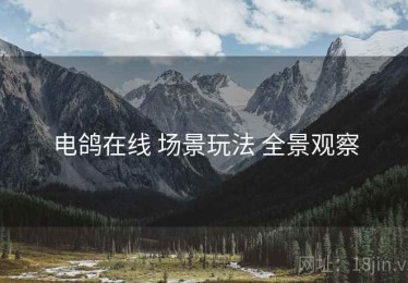电鸽在线 场景玩法 全景观察