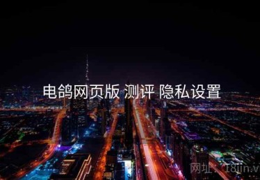 电鸽网页版 测评 隐私设置