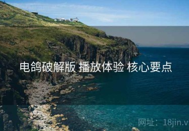 电鸽破解版 播放体验 核心要点
