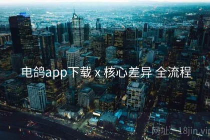 电鸽app下载 x 核心差异 全流程