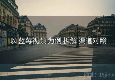 以 蓝莓视频 为例 拆解 渠道对照