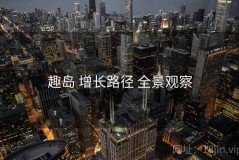 趣岛 增长路径 全景观察