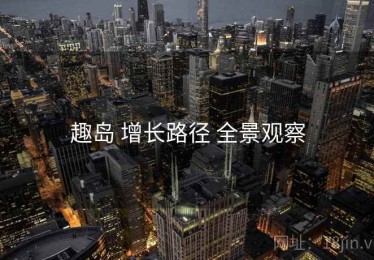 趣岛 增长路径 全景观察