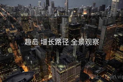 趣岛 增长路径 全景观察