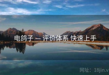电鸽子 — 评价体系 快速上手