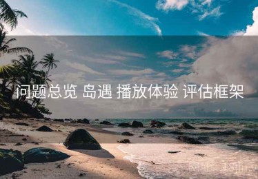 问题总览 岛遇 播放体验 评估框架