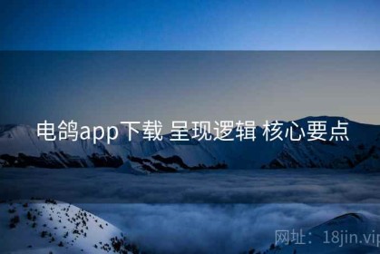 电鸽app下载 呈现逻辑 核心要点